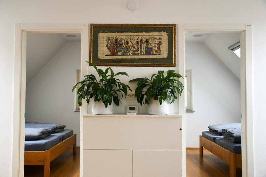 Stairway To Ljubljana Apartment エクステリア 写真